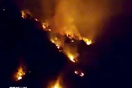 Premier ordena reforzar prevención y control de incendios forestales