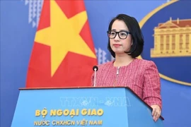 Vietnam rechaza reclamaciones ilegales en el Mar del Este