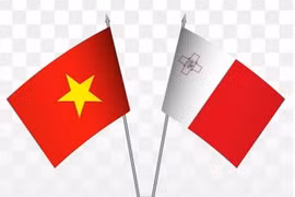 Similitudes e intereses comunes promueven relaciones Malta-Vietnam