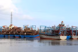 Provincia vietnamita de Nam Dinh intensifica lucha contra pesca ilegal