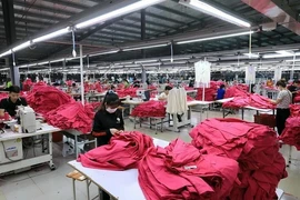 Se registran nuevos signos positivos para economía vietnamita en 2024
