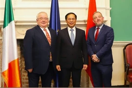 Vietnam atesora nexos de amistad con Irlanda