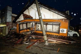 Vietnamitas en Japón prestan asistencia a compatriotas tras terremoto