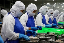Prensa uruguaya destaca actividades comerciales de Vietnam