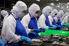 Prensa uruguaya destaca actividades comerciales de Vietnam