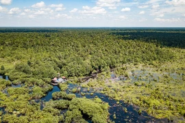 Indonesia actualiza regulaciones sobre inversión verde