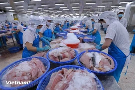 Vietnam por llevar al sector pesquero a desarrollo sostenible e integración