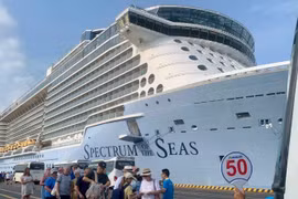 Súper crucero con miles de turistas arriba a provincia vietnamita 