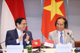 Vietnam e Indonesia buscan robustecer lazos económicos y comerciales