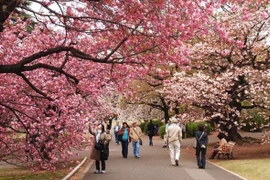 Turistas vietnamitas a Japón suman cifra récord