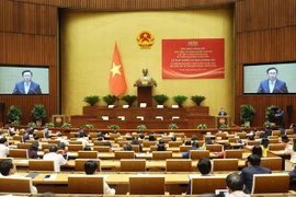 Dirigente vietnamita exige mejorar desempeño de delegaciones parlamentarias