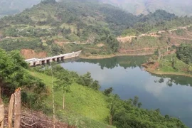 Vietnam hacia una economía verde para un futuro sostenible