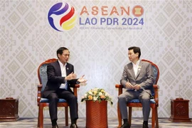 Vietnam fomenta nexos diplomáticos con Tailandia y Malasia
