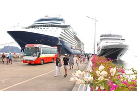 Provincia de Quang Ninh recibirá 60 cruceros turísticos internacionales en 2024