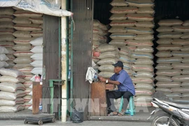 Indonesia destinará 7,6 mil millones de dólares para seguridad alimentaria en 2024