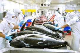 Exportaciones de atún de Vietnam demuestran señales positivas