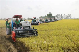 Agricultura de Vietnam batió récords en 2023