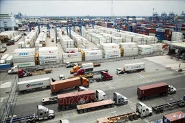Anticipan mayores ingresos por exportación de algunos productos agrícolas vietnamitas en 2024