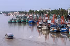 Provincia vietnamita impulsa fuertemente lucha contra pesca ilegal