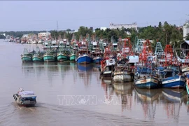 Provincia vietnamita impulsa fuertemente lucha contra pesca ilegal