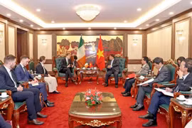Vietnam e Irlanda amplían cooperación comercial y de inversión 