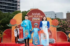 Vietnamitas en Japón y Francia celebran Año Nuevo Lunar 