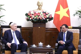 Diálogo Estratégico Vietnam-Rusia, canal eficaz de intercambio de información