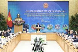 Gobierno vietnamita incentiva desarrollo de la economía colectiva