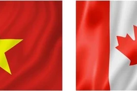 Empresas canadienses actualizan información sobre mercado vietnamita