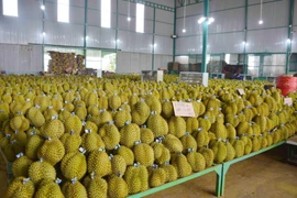Productos agrícolas vietnamitas son más buscados en mercado internacional