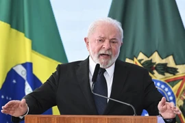 Embajador de Vietnam en Brasil presenta cartas credenciales