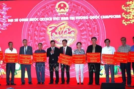 Celebra comunidad vietnamita en extranjero Año Nuevo Lunar (Tet)