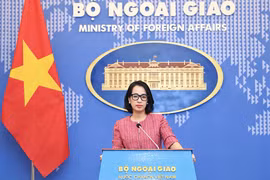 Vietnam saluda resolución de ONU sobre un alto el fuego en Franja de Gaza