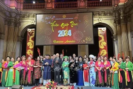 Vietnamitas en Francia y Sudáfrica celebran fiesta tradicional Tet