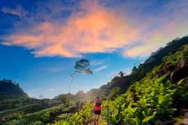 Prevén nutrida participación en Ultramaratón en Vietnam