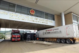 Dinámico comercio marca inicio del Año Nuevo Lunar en puerta fronteriza vietnamita