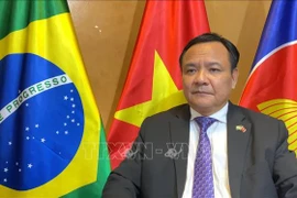 Brasil aspira a fortalecer lazos con Vietnam, afirma embajador vietnamita