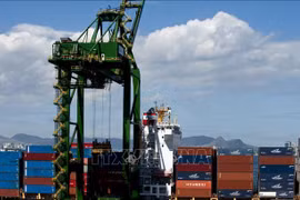 Brasil aumenta importaciones de Vietnam