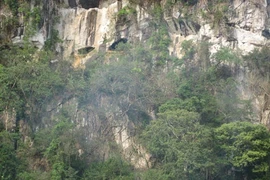  Vietnam considera elaborar nuevos expedientes patrimoniales para UNESCO