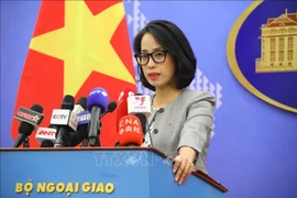 Vietnam muy preocupado por la reciente tensión en el Mar del Este, afirma portavoz