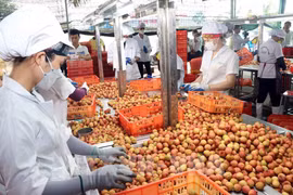 Oportunidades de exportación al mercado chino