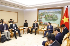 Vietnam y Japón promueven cooperación en proyectos de transición a energías verdes
