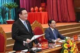Instan a impulsar progreso económico y construcción partidista en localidad vietnamita