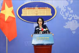 Vietnam condena ataques violentos a rutas marítimas internacionales