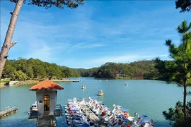 Provincia de Lam Dong recibe a 160 mil turistas en ocasión del Año Nuevo