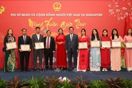 Vietnamitas en el extranjero celebran el Tet tradicional