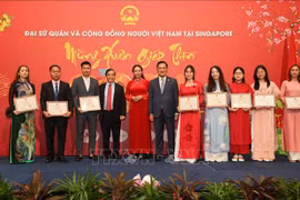 Vietnamitas en el extranjero celebran el Tet tradicional