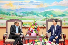 Localidad de Vietnam agiliza lazos con Singapur