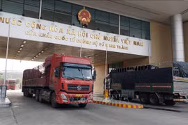 Tres mil empresas vietnamitas reciben códigos para exportar productos agrícolas a China
