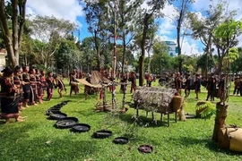 Amplio abanico de propuestas en Festival Cultural de Minorías Étnicas de Vietnam